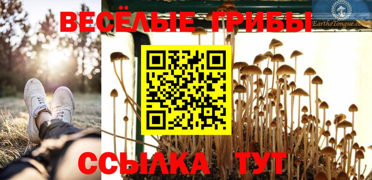 хочу   Галлюциногенные грибы мицелий  Вход с VPN  Псилоцибиновые грибы Cubensis  Дубна 
